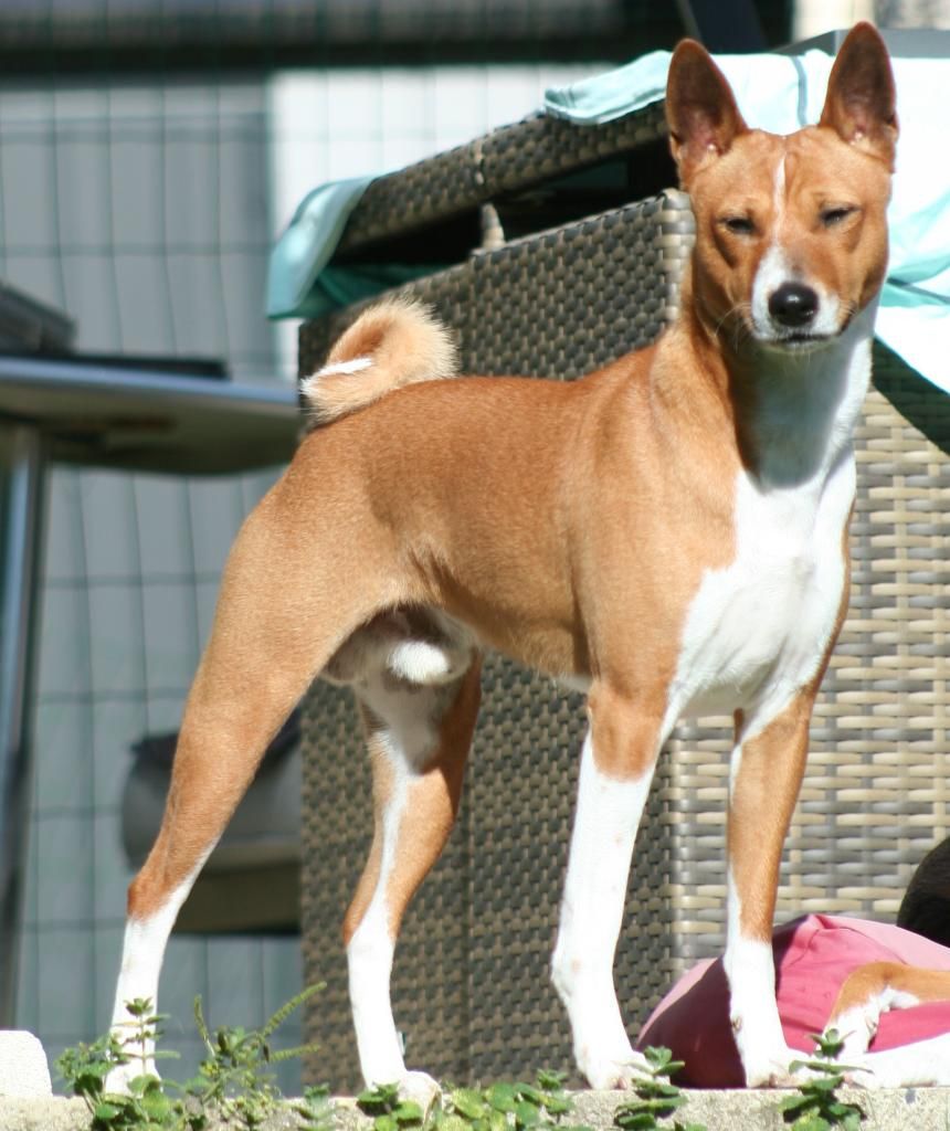 Ukken souviens toi séko